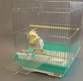 鳥かごの中で浮いている状態の全体の重さは?